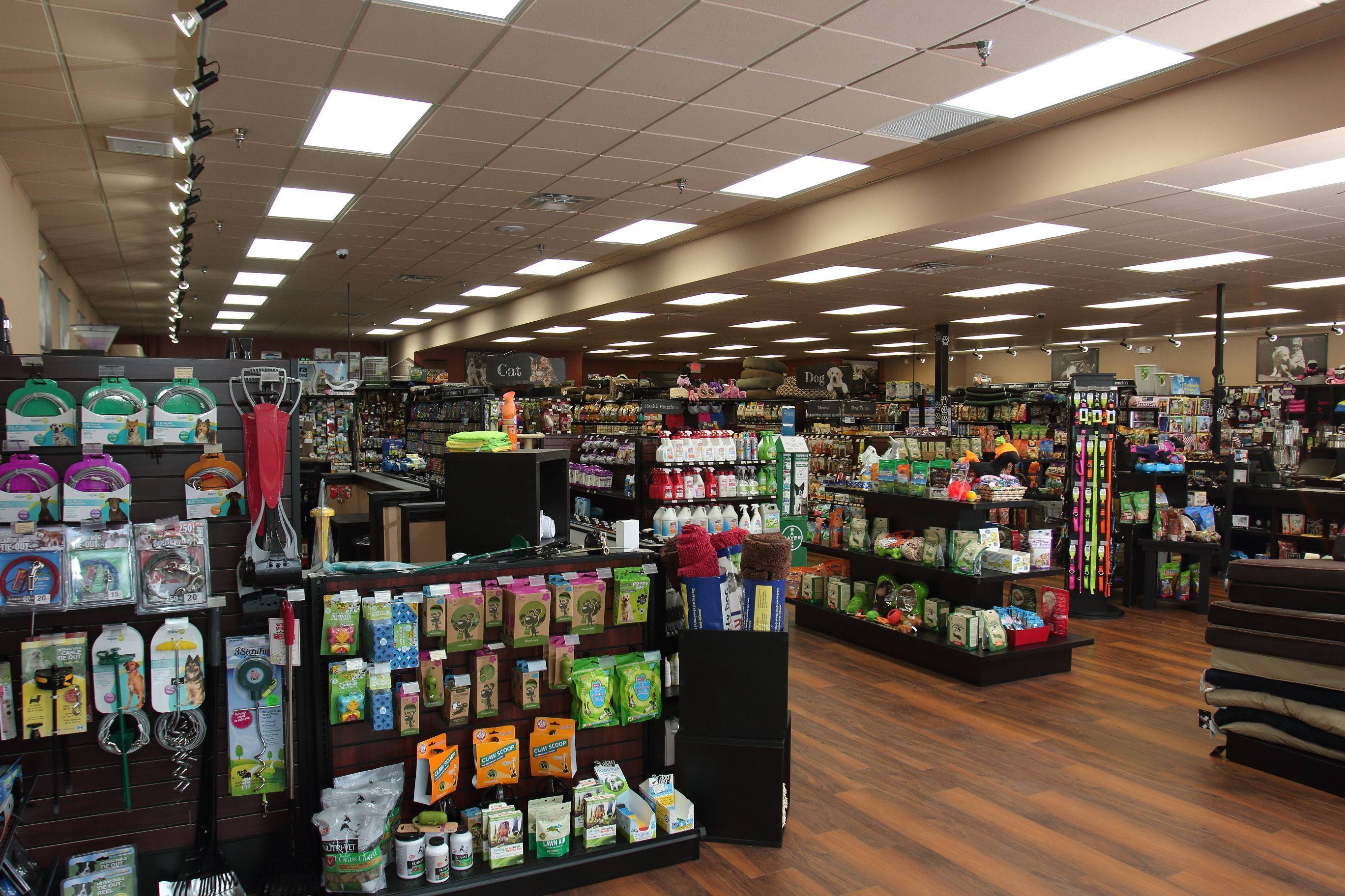 South Coast Improvement, Co. & PA Pet Valu locations | Commercial