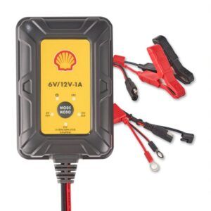 Charger 100321