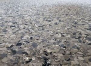 epoxy