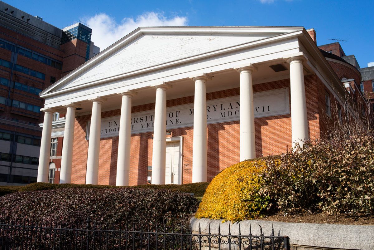Inside the Davidge Hall Restoration at UMB