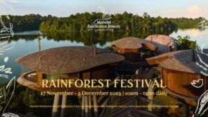 Rainforest Festival – 27 November to 3 December 2025