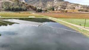 Nelson Family Vineyards 2
