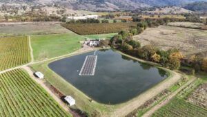 Nelson Family Vineyards 4
