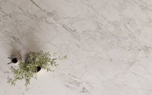 TERACANTO Superior White