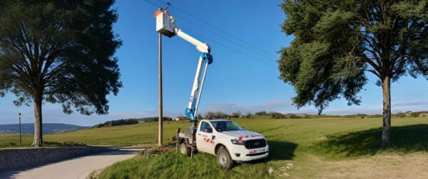 Choosing the Right Forestry Bucket Truck for Tree Care Jobs