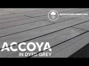 accoyo1