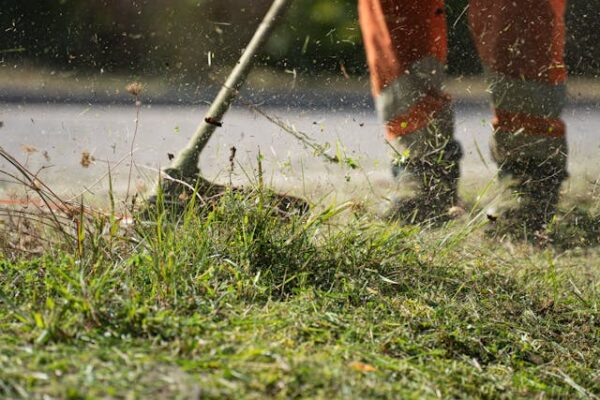 Signs You Need Professional Lawn Mowing Services