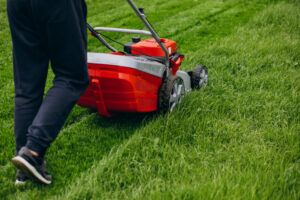 What Are The Benefits Of Custom Lawn Care Services?