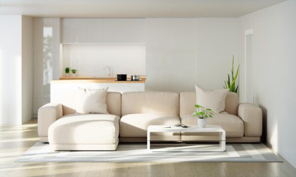The Beauty of Luxury Sofa Beds for Modern Homes