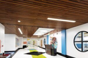 Chester Stephens Elementary School, Mount Olive, NJ – airqualityContinuous Linear Wood Planks (Walnut, Plain Slice Veneer, Clear Top Coat Finish)
