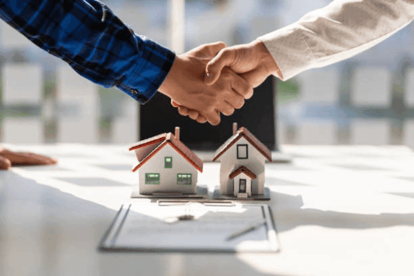 Real Estate Professional Status and Bonus Depreciation